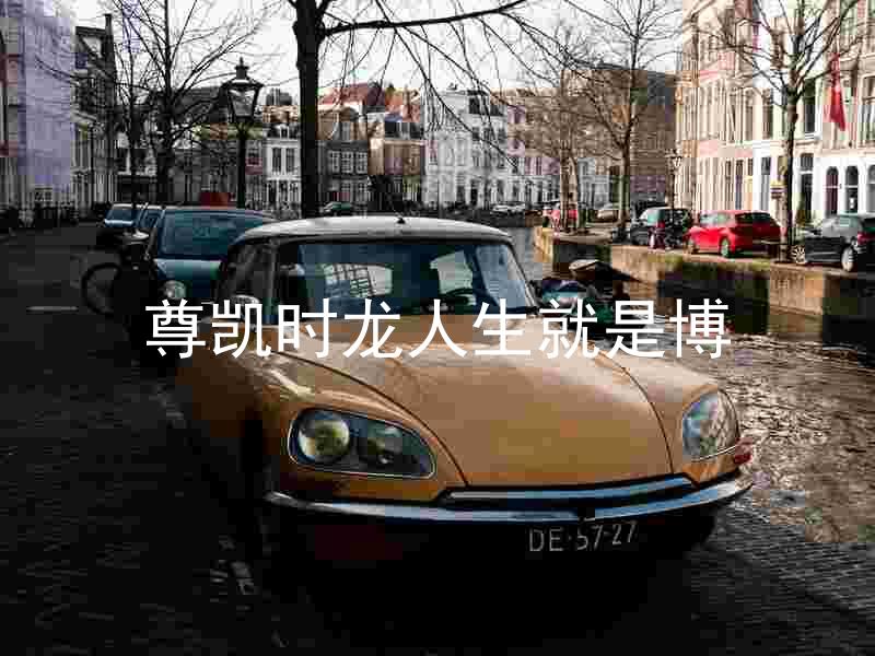 尊凯时龙人生就是博