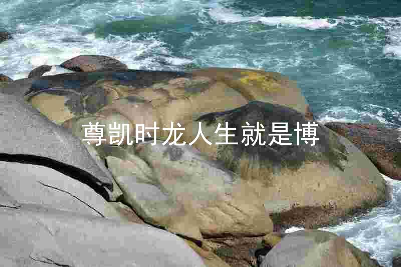 尊凯时龙人生就是博