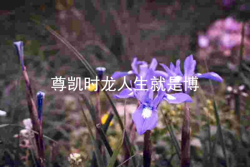 尊凯时龙人生就是博